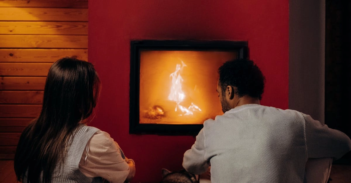 Анализ игрового автомата The Dog House Megaways