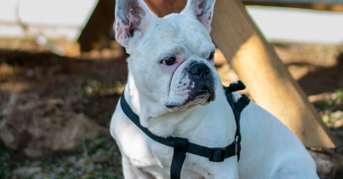 Схема программы лояльности казино без депозита