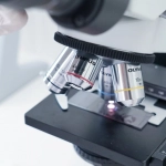 Практический анализ слот игры Gates of Olympus