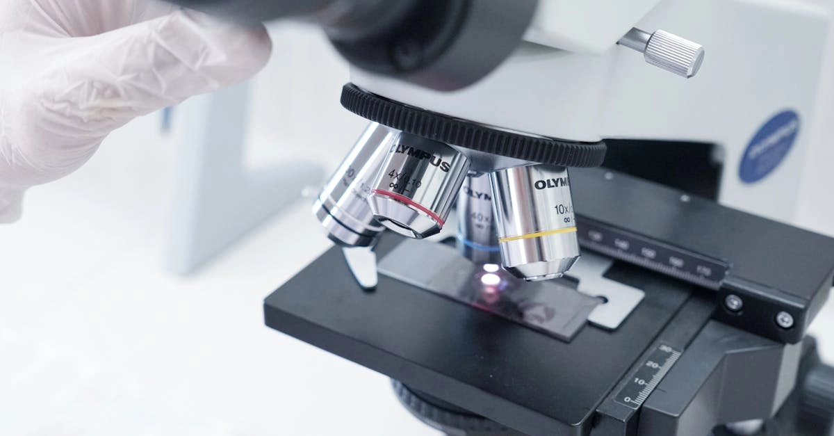 Практический анализ слот игры Gates of Olympus