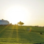 Практический подход к выбору развлекательных слотов