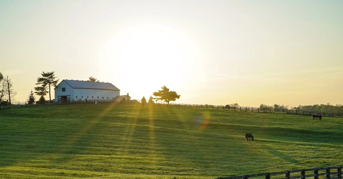 Практический подход к выбору развлекательных слотов